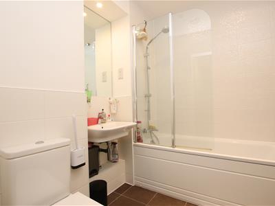 Picture 5